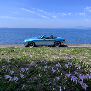 ロードスター NB8C