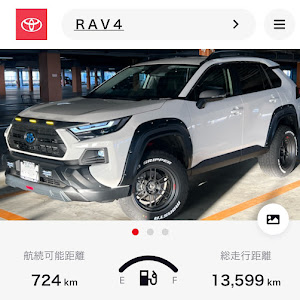 RAV4 AXAH54