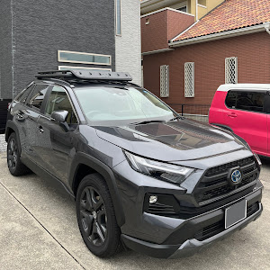 RAV4 AXAH54