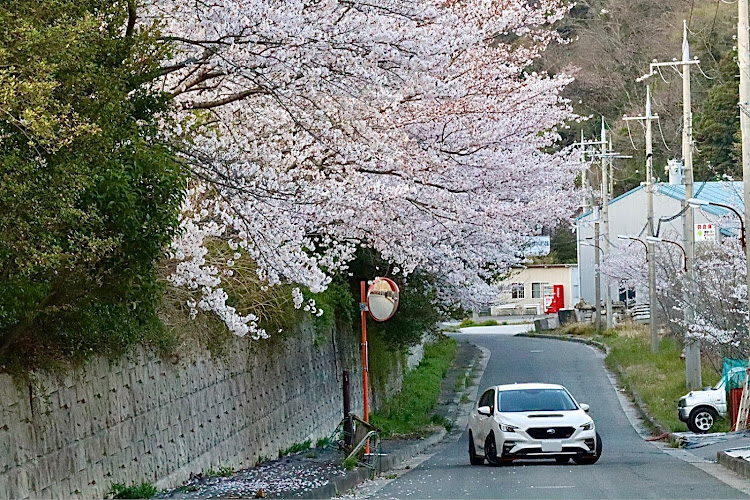 の投稿画像2枚目