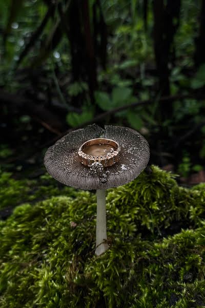 Fotógrafo de bodas Hamze Dashtrazmi (hamzedashtrazmi). Foto del 8 de octubre 2021