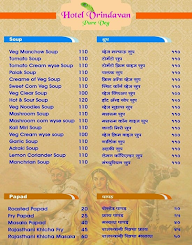 Vridavan Pure Veg menu 2