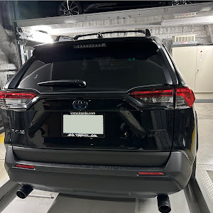 RAV4 AXAH54