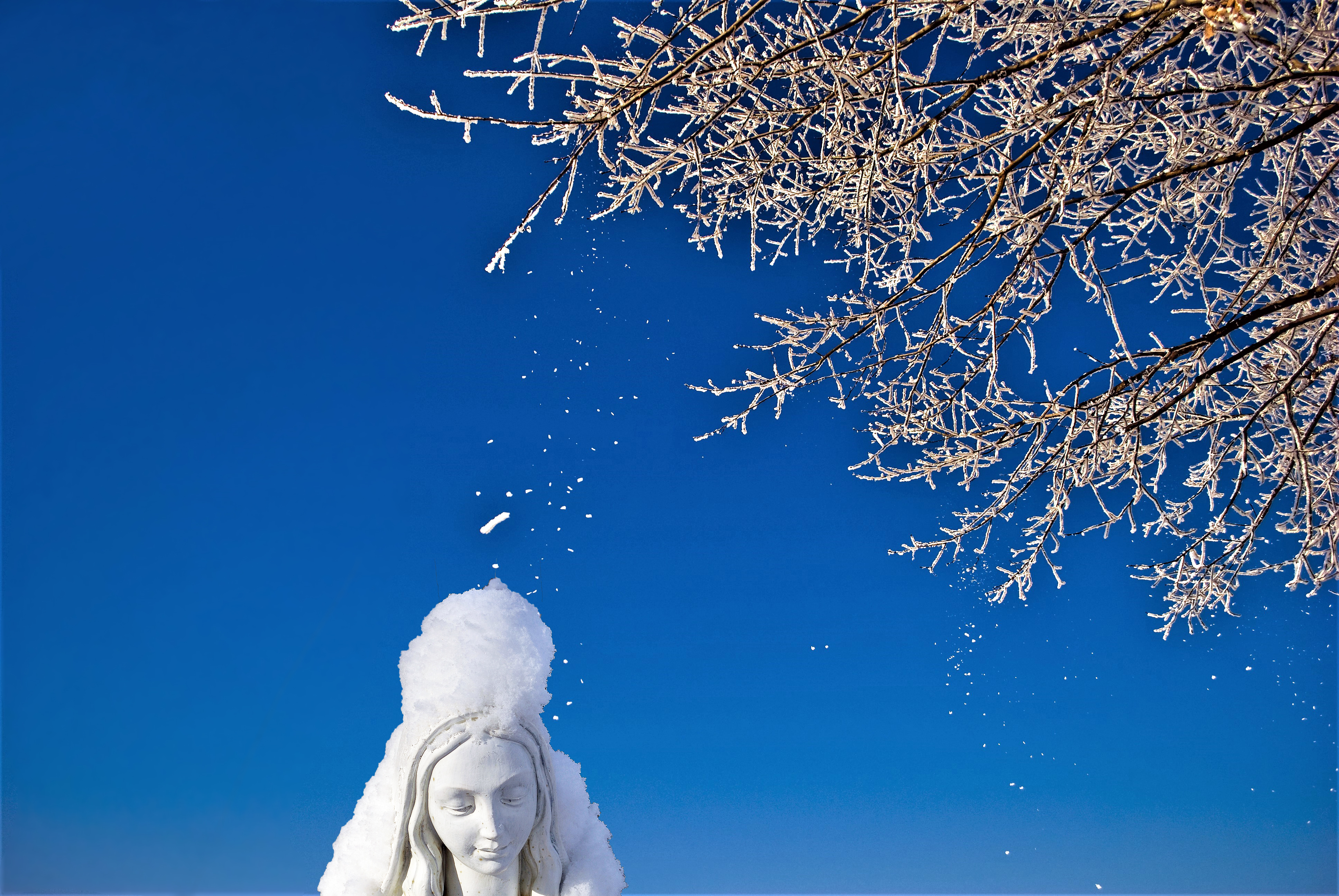 Madonna della neve. di Daimon