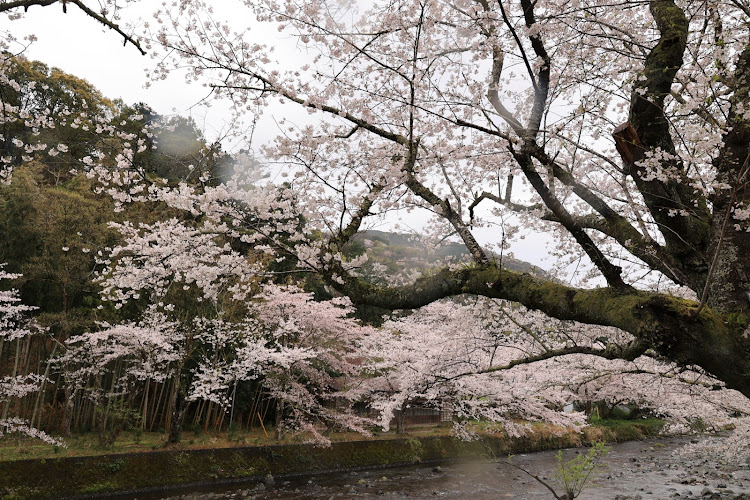 の投稿画像11枚目