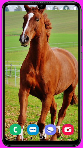 Horse Wallpaper Best HD - v1.04