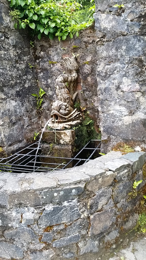 Wishing Well