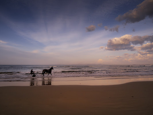 equitazione di fabio_sartori