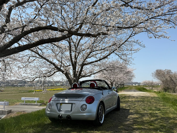 コペンの4月もよろしくお願い致します🌸・桜と愛車・オープンカーのある生活・いつもイイネ&コメントありがとうございます🙇‍♂️・過労痛もよろしくに関するカスタム事例の投稿画像2枚目