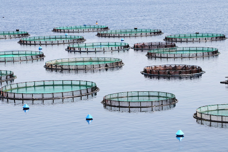 Questions remain whether fish farms are sustainable. Picture: 123RF/SAL73IT