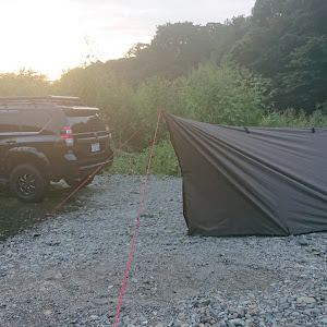 ランドクルーザープラド TRJ150W
