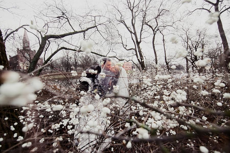 Fotografer pernikahan Maksim Garibaldi (garibaldi). Foto tanggal 2 Februari 2016