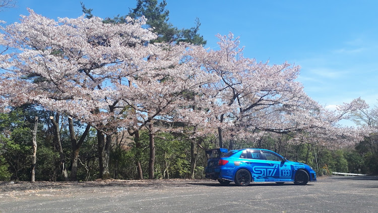 インプレッサ WRX STIの奈良奥山ドライブウェイ・若草山コース・奈良奥山コース・髙円山コース・桜と鹿に関するカスタム事例の投稿画像2枚目