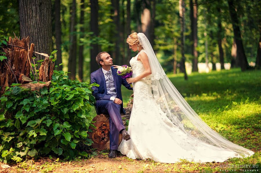 Fotógrafo de casamento Aleksey Chernyshev (achernishev). Foto de 16 de abril 2014