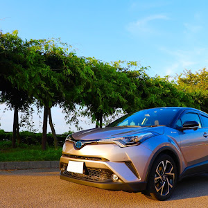 C-HR ZYX10