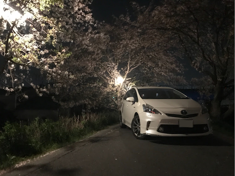 プリウスαのKazuyaさんが投稿したカスタム事例の投稿画像1枚目