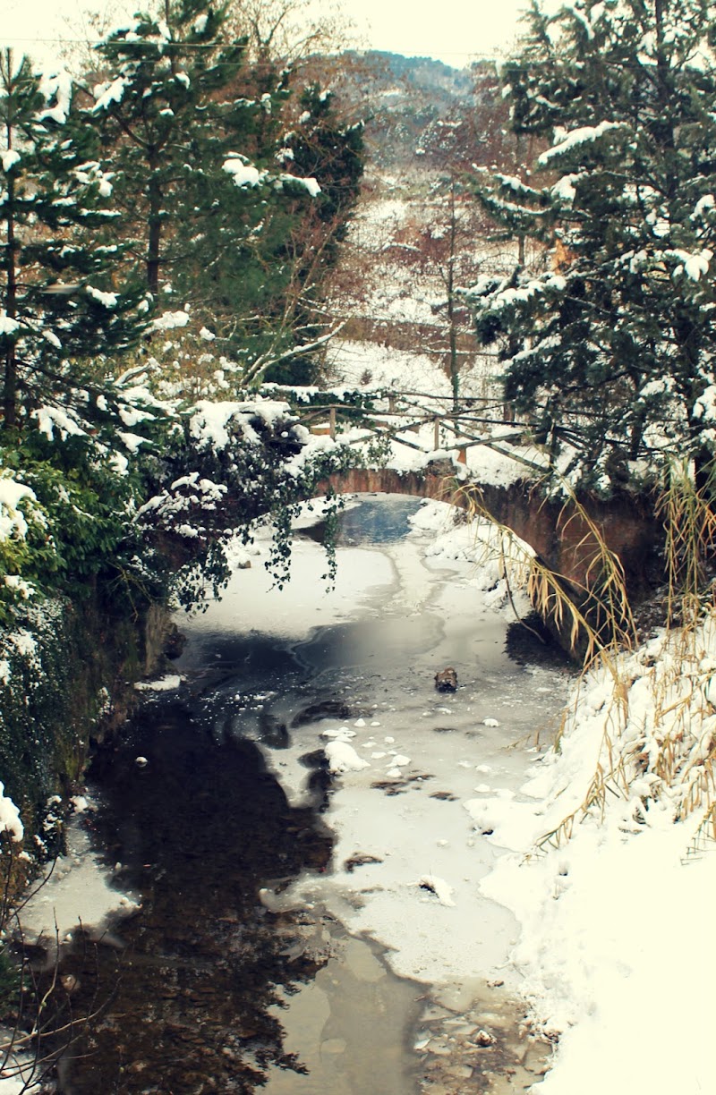 Ponte sul ghiaccio di PhotoBySaraPesucci