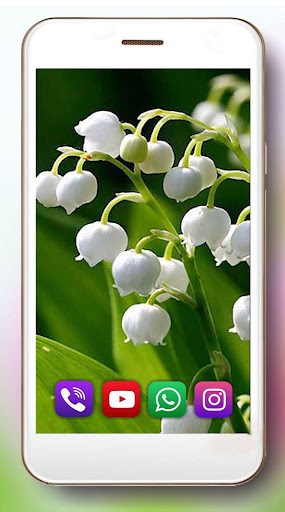 Spring Flowers Live Wallpaper