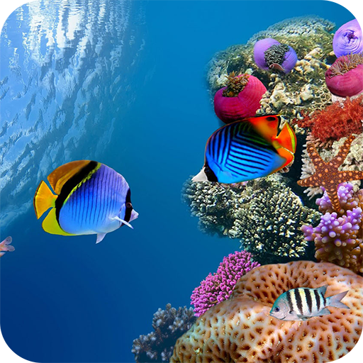 Aquarium Wallpaper 個人化 App LOGO-APP開箱王