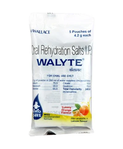 WALYTE CITRO POWDER 21GM