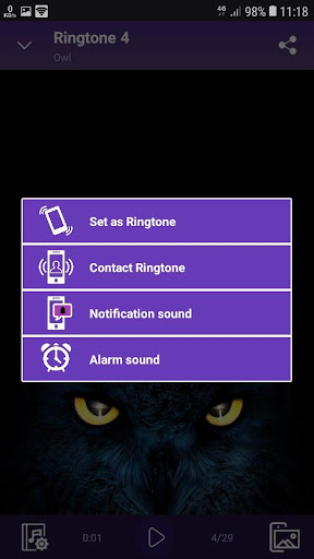 Owl - RINGTONES and WALLPAPERS