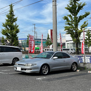 カレン ST206