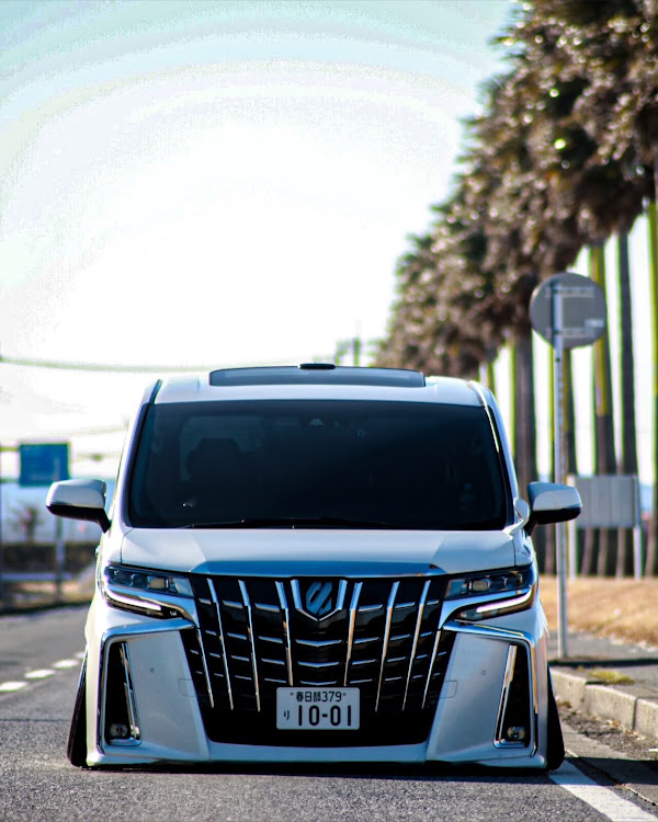 アルファードの車高調・生脚・１９インチ・フルスモ・車高短に関するカスタム事例の投稿画像3枚目