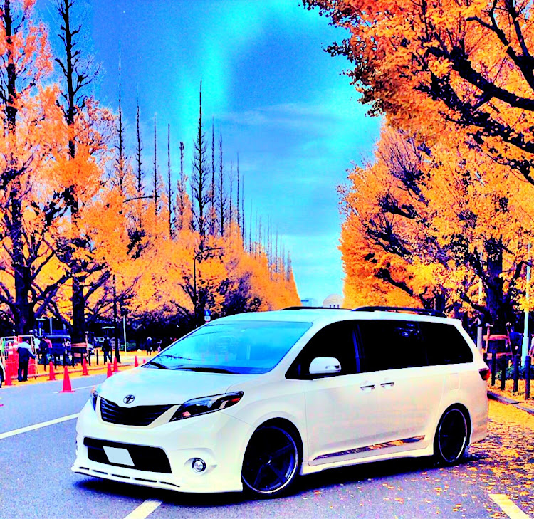 シエナのＵＳトヨタ・神宮外苑イチョウ並木・モーニングクルーズに関するカスタム事例の投稿画像1枚目