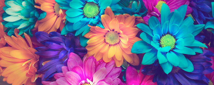 Beautiful flowers Wallpapers New Tab marquee promo image