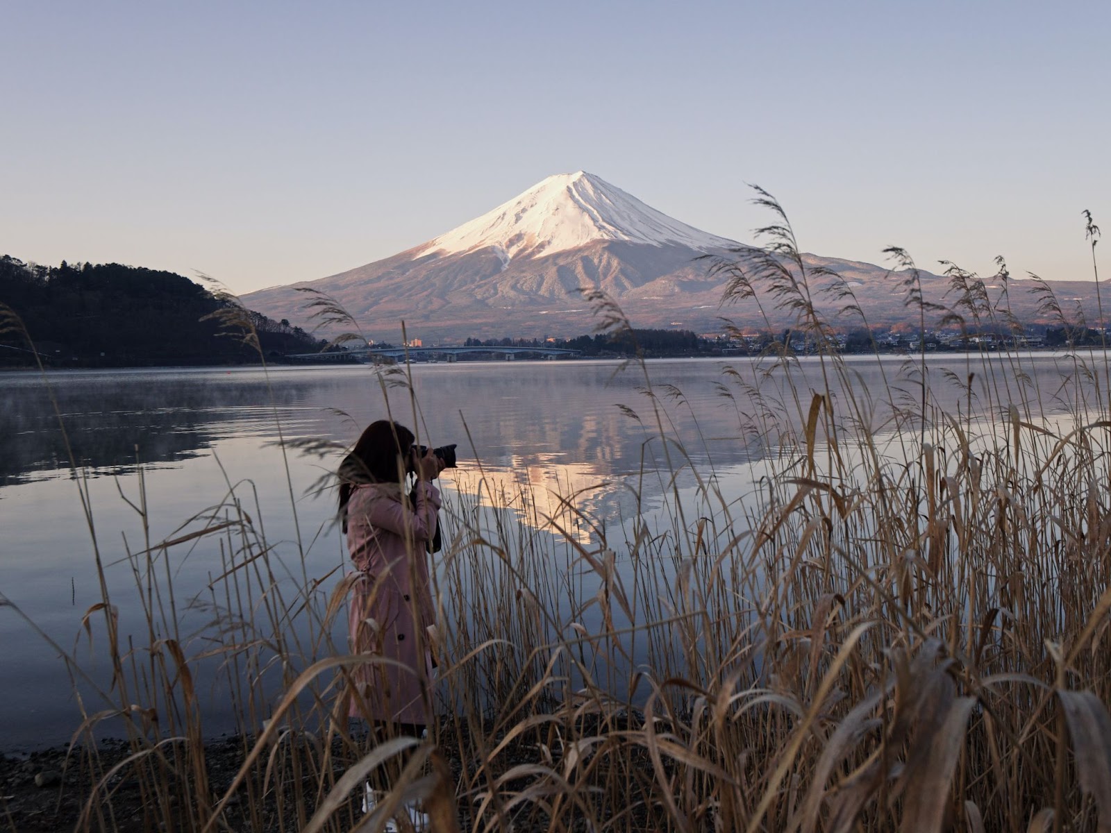 Inari Ōkami: A Divindade da Prosperidade no Japão