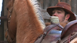 South Dakota Bison thumbnail