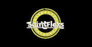 SaintFlexs Limited Logo