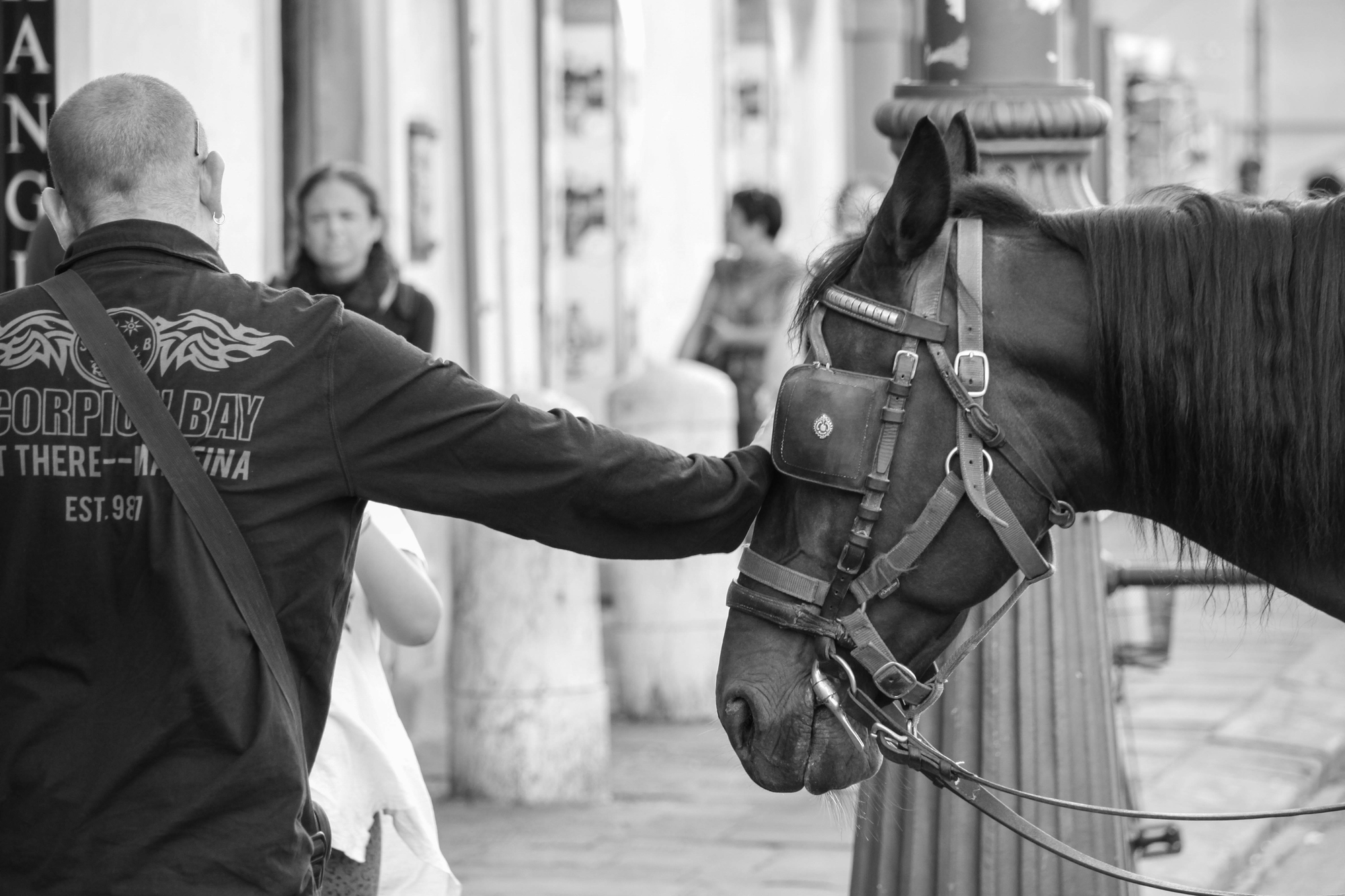 la carezza di dario toccafondo