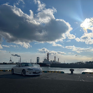 ロードスター NB6C