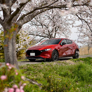 MAZDA3 BP8P