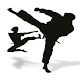 Download Kung Fu Lessons For PC Windows and Mac 1.1