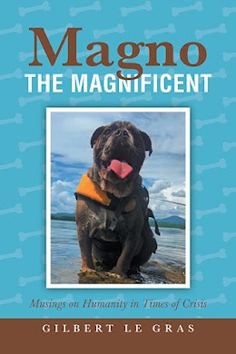 Magno the Magnificent cover