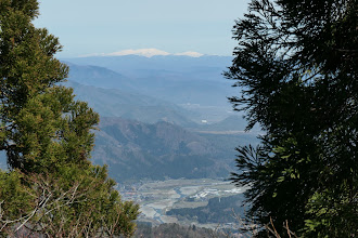 出発地点付近がよく見える