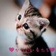 かわいい者たち（いぬ、ねこ）  Icon