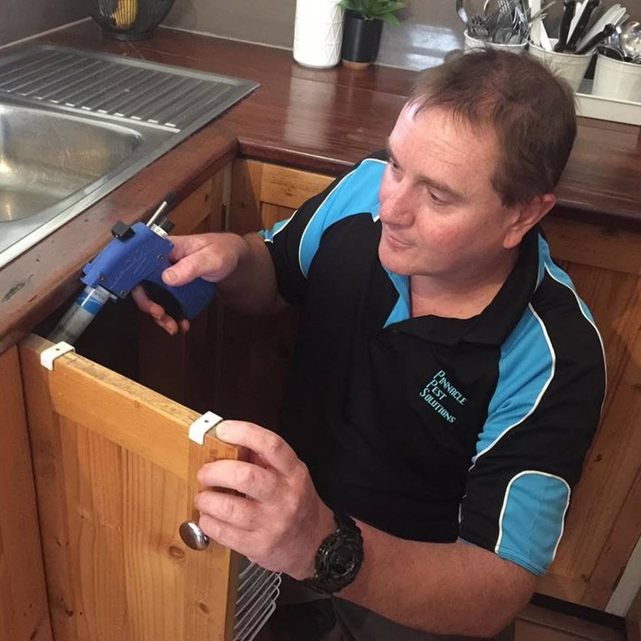 Pinnacle Pest Solutions Pest Control Service In Stawell