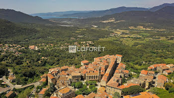 terrain à Sartene (2A)