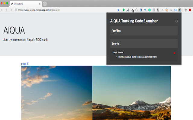 Tracking Code examiner chrome extension