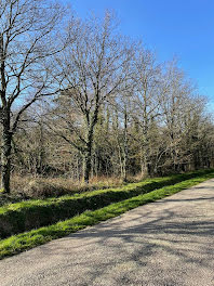 terrain à Guer (56)