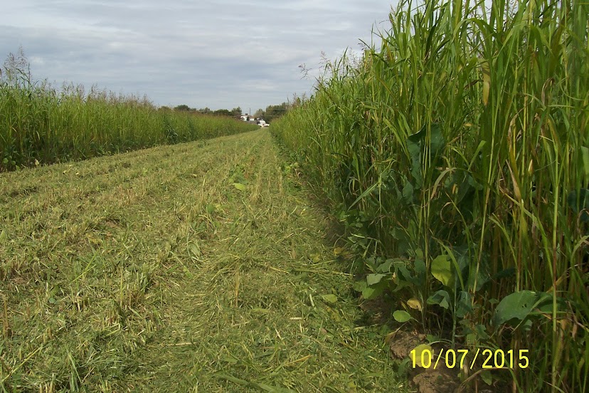 2016 No-till Corn on Gravity Irrigation IDGmtCiq6mWA0sI5eIisDvyjxWc9Q63LzHFpxe5uo_V3lZLQVVBFKwdhuITuxP5SnIA9jniDjxzCK_O3n93ImZjJrVT6vSnHmJ6395wYuhPDOcBuystp5S2X95Vcpi7WxfWK63AcE1vNo7xxVD5o_cw910OUzHmodzWcKQU1gEZqrPe7AdTssRu8vg5BGwr5cS3UQ-XGZPQKGqhhGctZ24m4ClYIvygnrDTtYQzC-T3O__6yDh_q762-9Mu5FH9wFLBwS7bC1JzqTMgrRwfCuTTAzK8_xsSrf7SMCmbozihNZDV8zbBJbJU58C6xFNEeJYO4XvWdZOVJ5X7VjVoK99LZ3zbFRmW1PK24pV5fBZ93mMtbsTTU_bc5Au3ALAckAXfJTKIGWAtQpttM3yG_oAgagiwH3dsetTlrd1mtMabr_wb2o2HLwOFJCTTgIVkJcwry_JBz0Npb9CMZ_1PJUU31-qObCqtObelMHgQMpQds3JscsHICM7pv563G2765mkXvjYMIV95oZDmP1zcAqc_-ZUkWRoOby0xxI3D2zMde9aPqyXKuZZ-ygoSEMZqKaaKIs6KA_15L-f-iajnoOyfXAqGfIwhYm-XNCb9PbcboO79Qw2MAkJJohjvu9EUgZECONrbWQSzY34BVxBV0q4hVaSn9VTkj=w828-h552-no