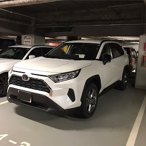 RAV4