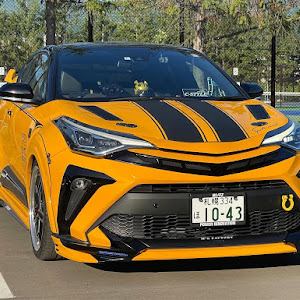 C-HR NGX10