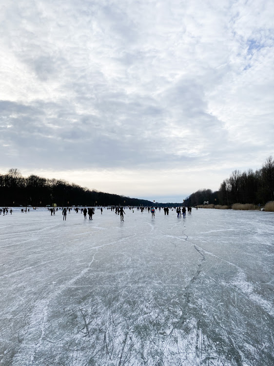 Ice skating views; natural textures inspire the artist.