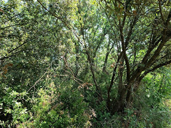 terrain à La Capelle-et-Masmolène (30)