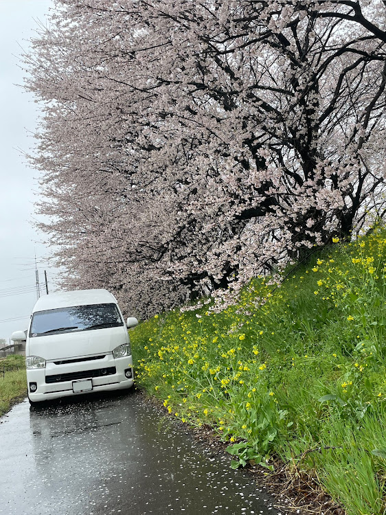 ハイエース スーパーロングの桜とコラボ・サクラと愛車・桜・ドライブに関するカスタム事例の投稿画像1枚目