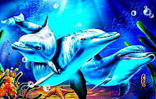 Dolphin Animal Wallpapers New Tab small promo image